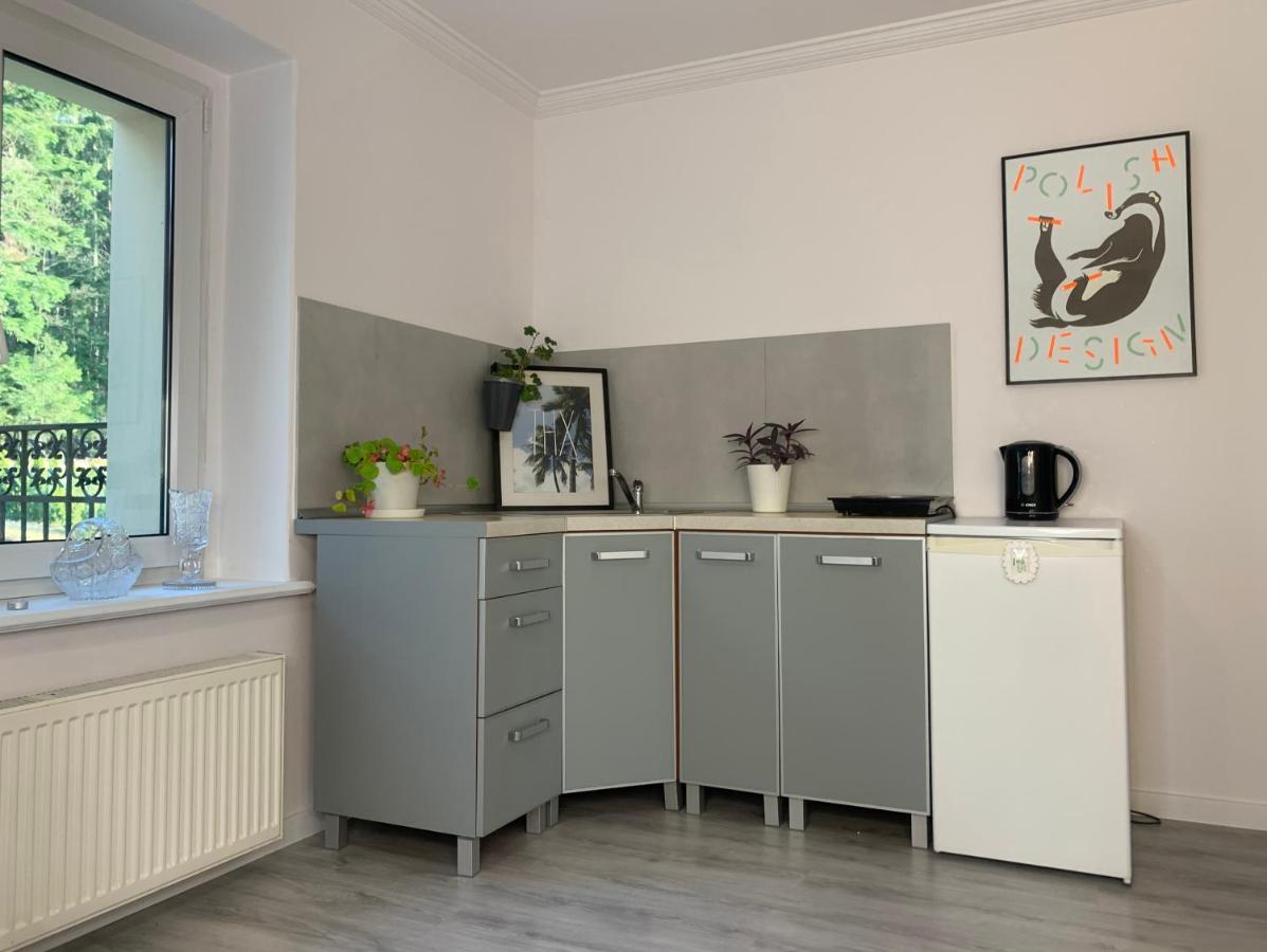 Apartament Lesny - Lesna 30 Kudowa Zdroj Ngoại thất bức ảnh